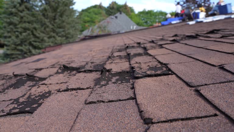Best Roofing for New Construction  in Chesterfield, SC