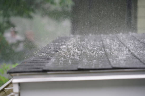 Best Cold Roofs  in Chesterfield, SC