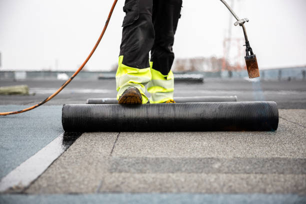 Best Asphalt Shingle Roofing  in Chesterfield, SC